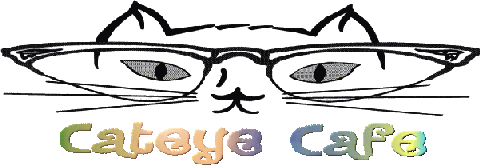 The Cateye Logo